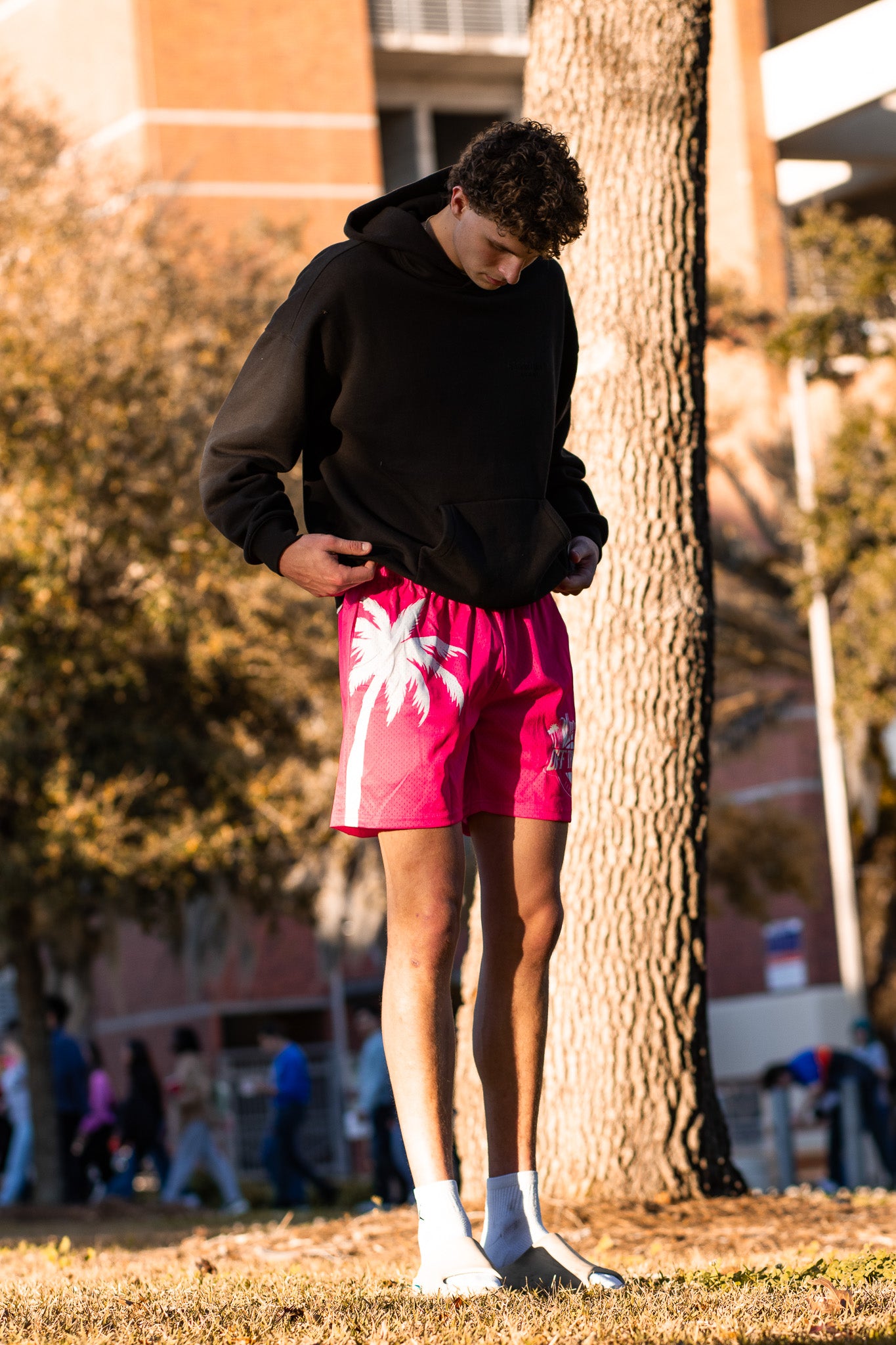 OTG “Miami Nights” Shorts