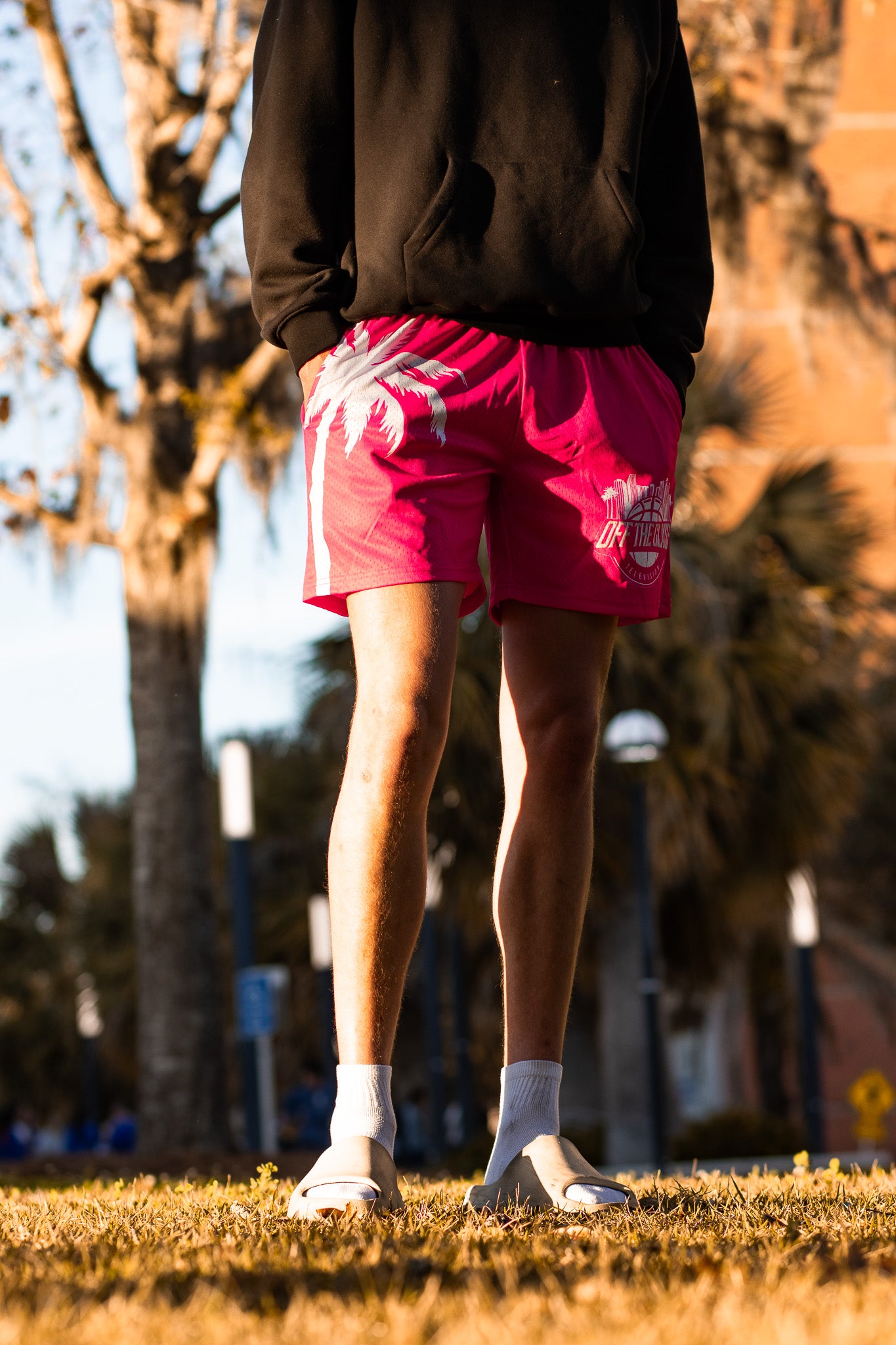 OTG “Miami Nights” Shorts